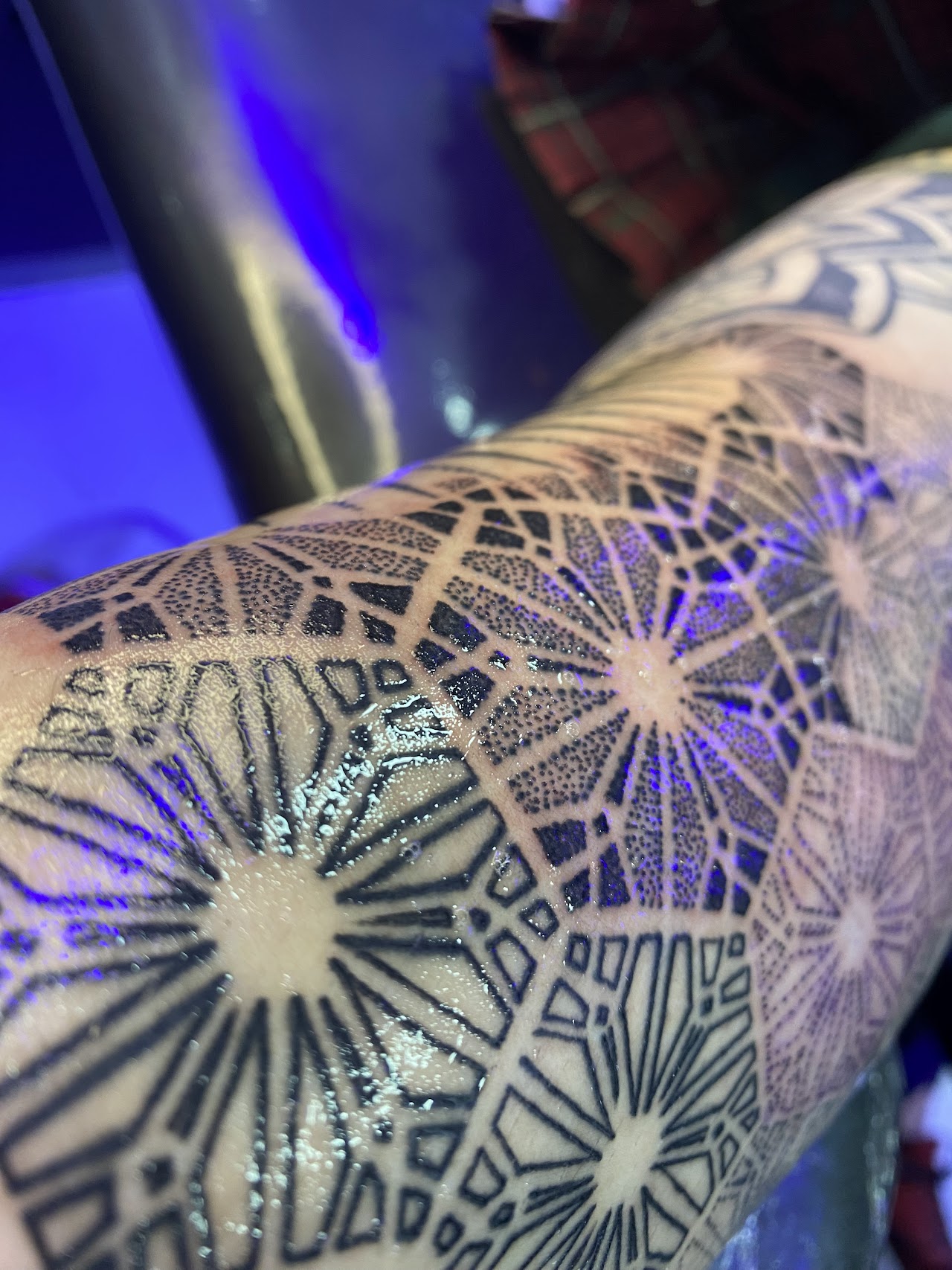 Composición floral botánica con micro-puntillismo y líneas finas en brazo