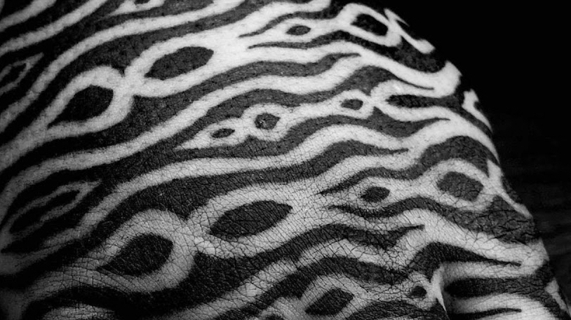 Manga completa con patrones de geometría sagrada y sombreado sólido blackwork
